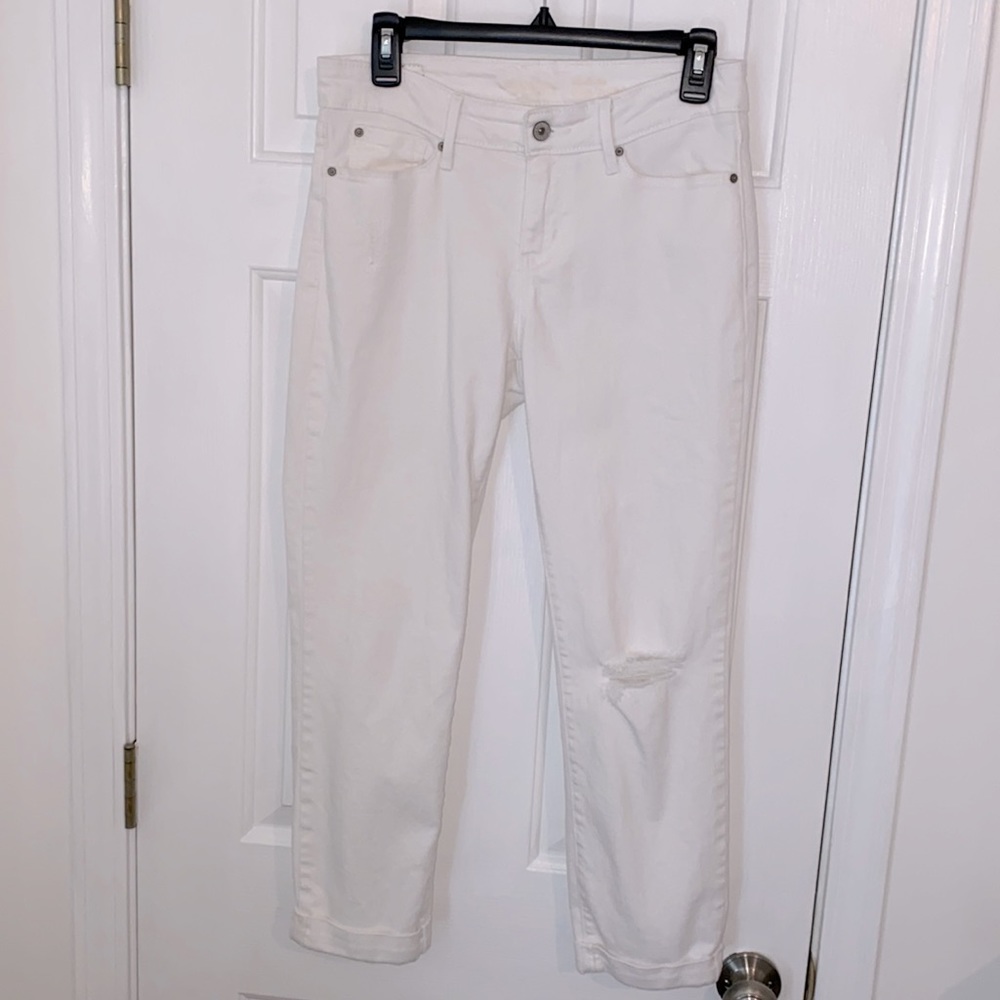 Signature by Levi Strauss